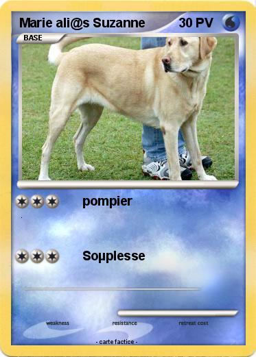 Pokemon Marie ali@s Suzanne