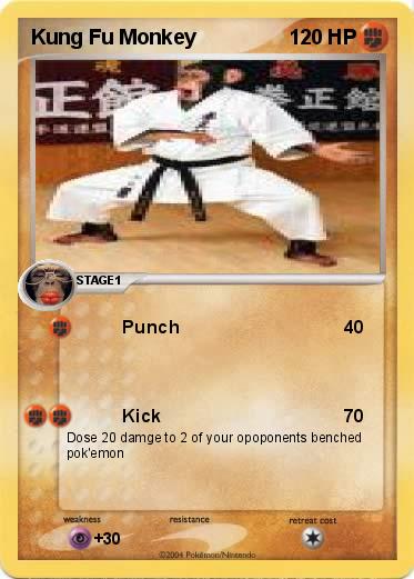 Pokemon Kung Fu Monkey