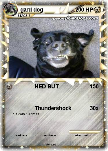 Pokemon gard dog