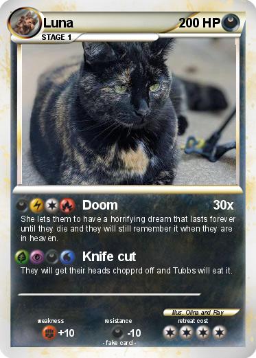Pokemon Luna