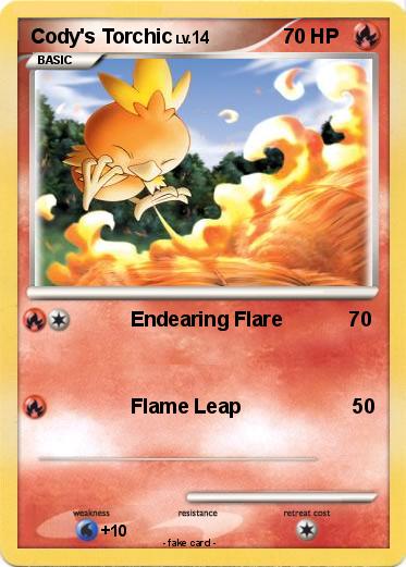 Pokemon Cody's Torchic