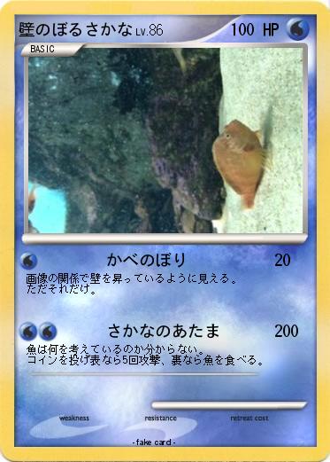 Pokemon 壁のぼるさかな