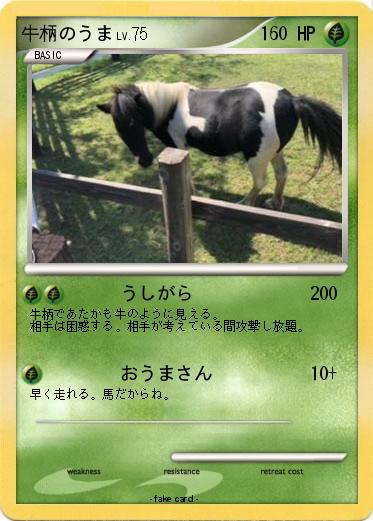 Pokemon 牛柄のうま