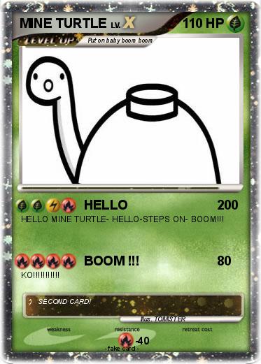 Pokemon MINE TURTLE