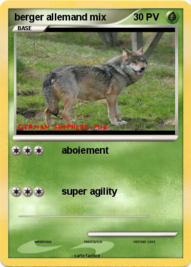 Pokemon berger allemand mix