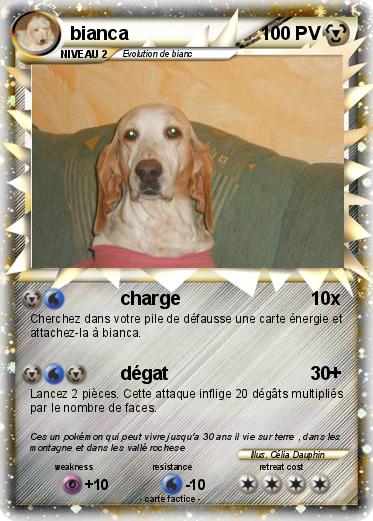Pokemon bianca