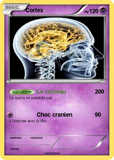 Pokemon Cortex