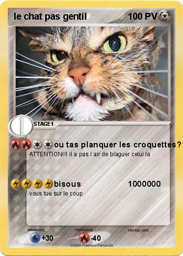 Pokemon le chat pas gentil