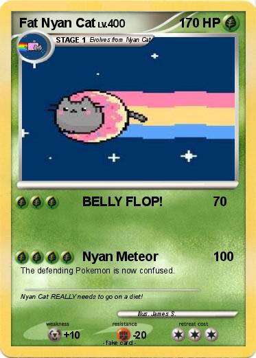 Pokemon Fat Nyan Cat