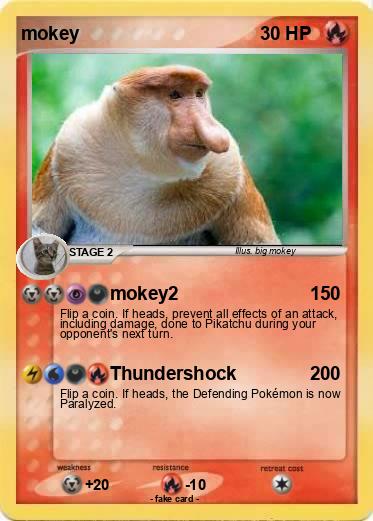 Pokemon mokey