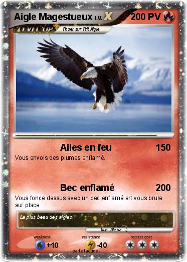 Pokemon Aigle Magestueux