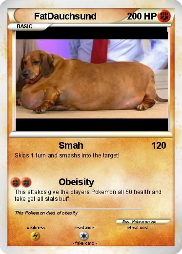Pokemon FatDauchsund