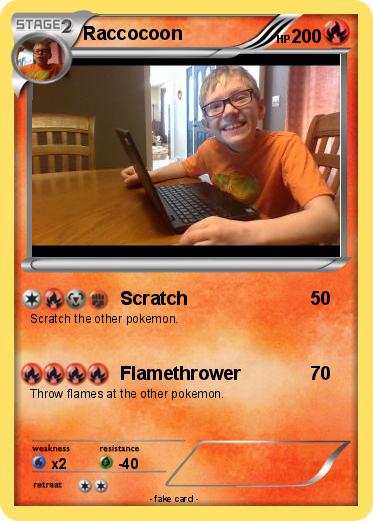 Pokemon Raccocoon