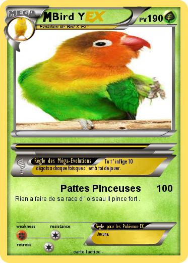 Pokemon Bird Y