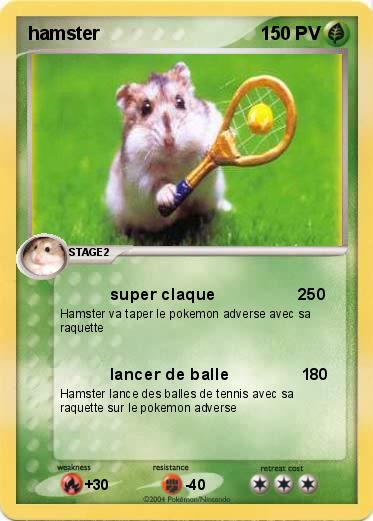 Pokemon hamster
