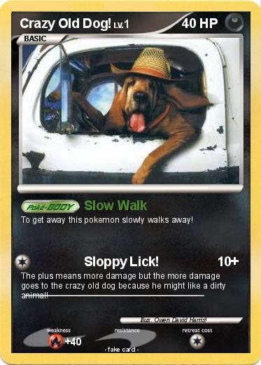 Pokemon Crazy Old Dog!