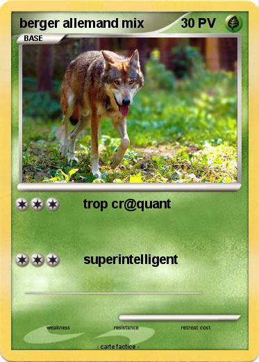Pokemon berger allemand mix