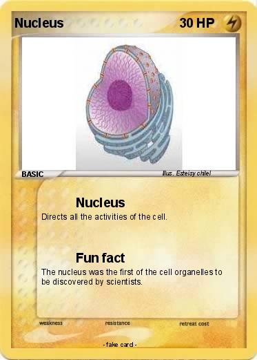Pokemon Nucleus