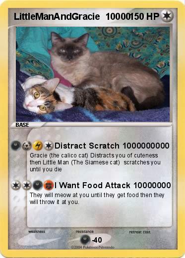 Pokemon LittleManAndGracie  10000