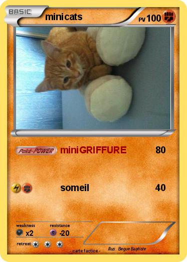 Pokemon minicats