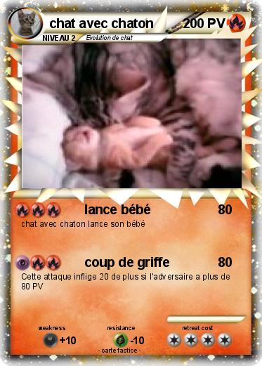 Pokemon chat avec chaton