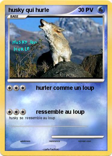 Pokemon husky qui hurle