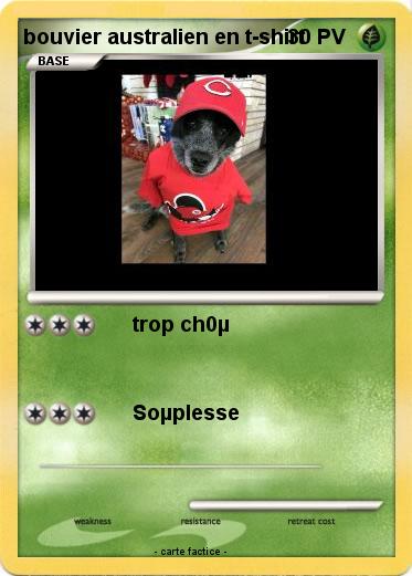 Pokemon bouvier australien en t-shirt