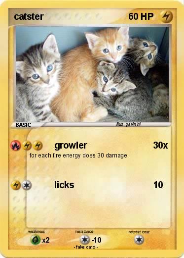 Pokemon catster