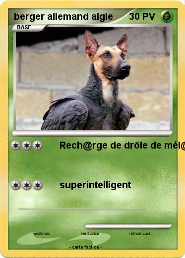 Pokemon berger allemand aigle