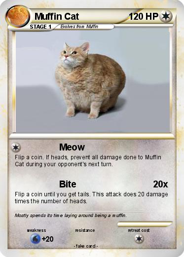 Pokemon Muffin Cat