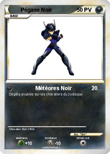 Pokemon Pégase Noir