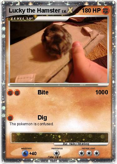Pokemon Lucky the Hamster