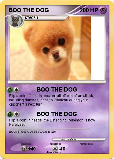 Pokemon BOO THE DOG