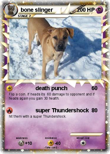 Pokemon bone slinger