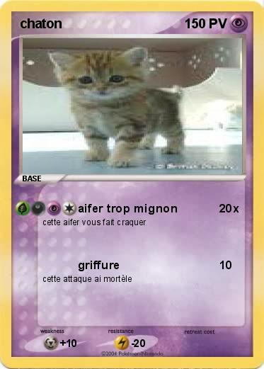 Pokemon chaton