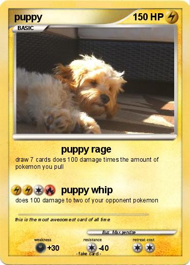 Pokemon puppy