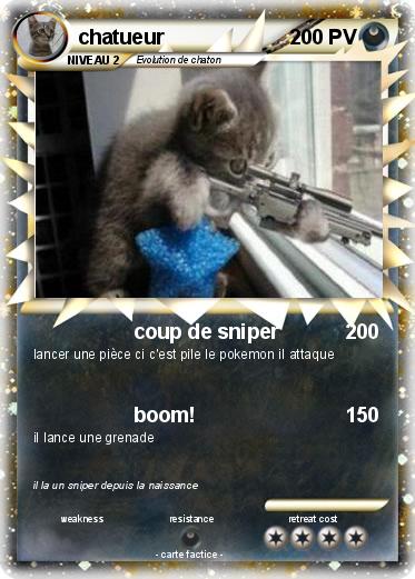 Pokemon chatueur