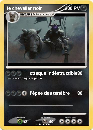 Pokemon le chevalier noir