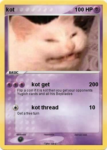 Pokemon kot