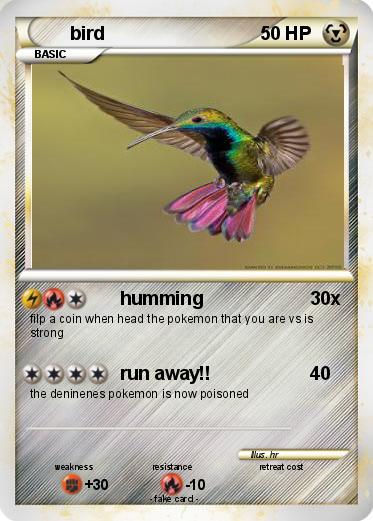 Pokemon bird