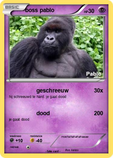 Pokemon boss pablo