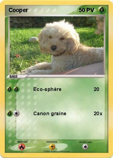 Pokemon Cooper