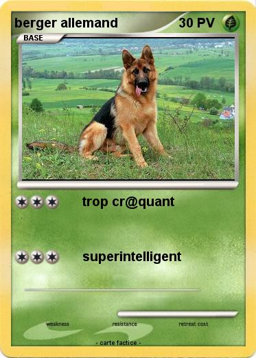 Pokemon berger allemand