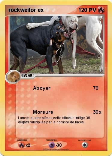 Pokemon rockweilor ex