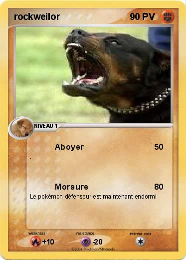Pokemon rockweilor