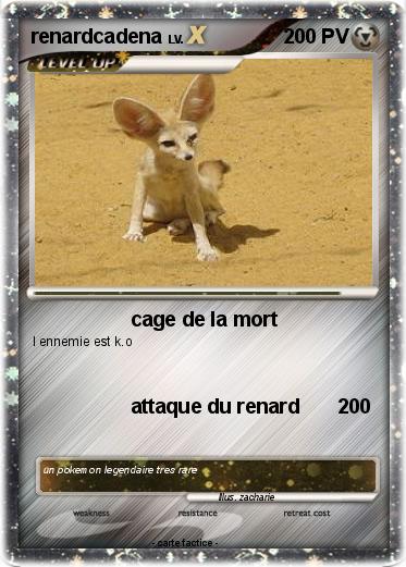 Pokemon renardcadena