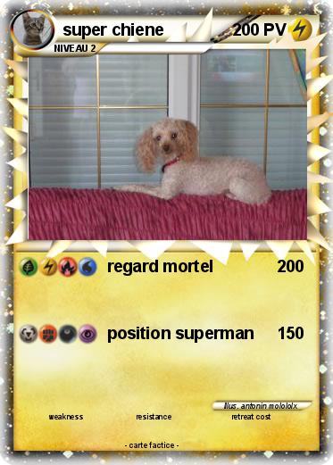 Pokemon super chiene