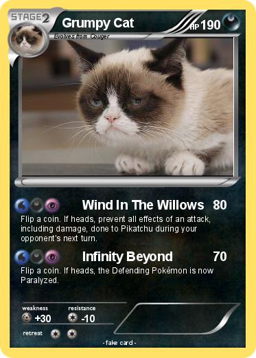 Pokemon Grumpy Cat