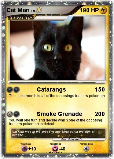 Pokemon Cat Man