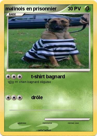 Pokemon malinois en prisonnier